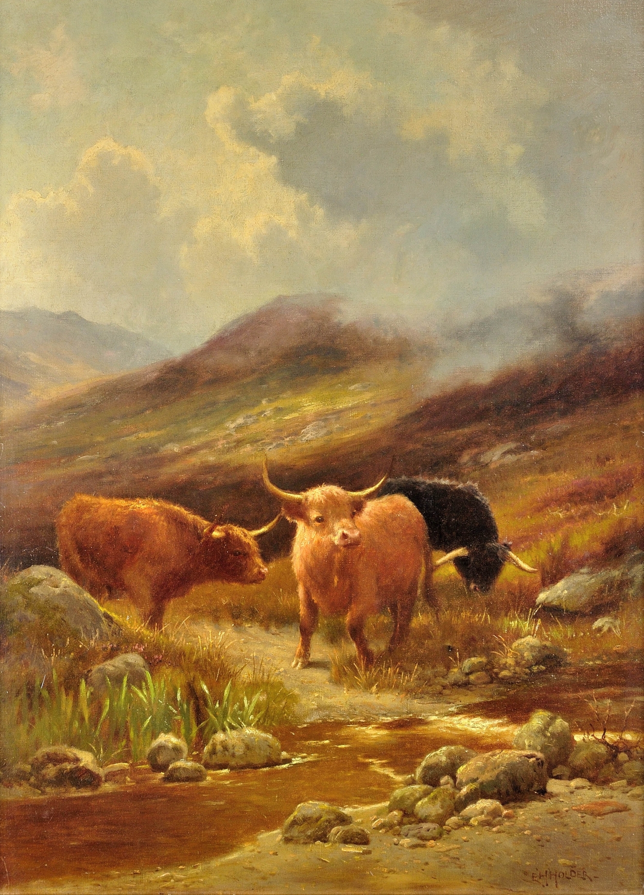 Highland Cattle in the Scottish Lowlands