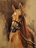 Generous, Winner of the Epsom Derby in 1991