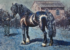 Fronarth Northern Star